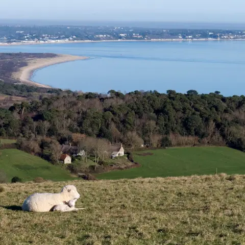 John Severn SUNDAY - Ballard Down