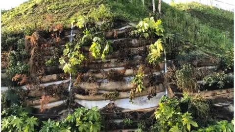 LDRS Marble Arch Mound