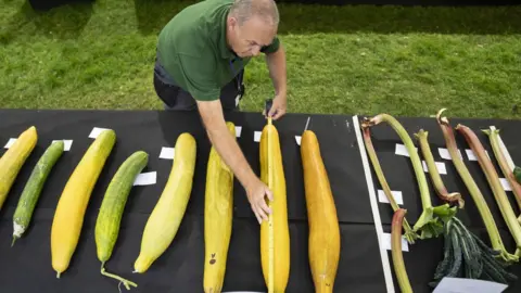 PA Media A judge inspects vegetables at the Harrogate Flower Show