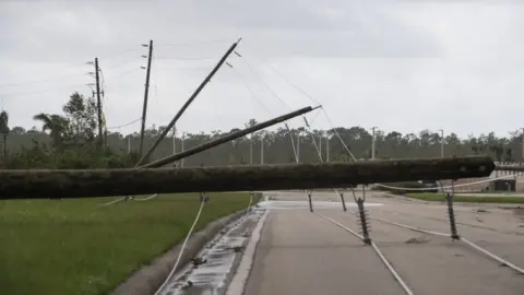 AFP Downed power lines in Bonita Springs, Florida, 11 September