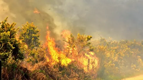 Firesnapper999 Fire in Pirbright