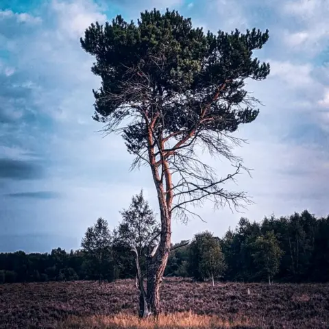 @sean.a.rhodes Sutton Park