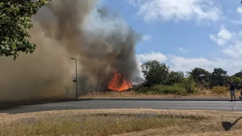 Helen Renouf Flames and smoke at Pennington Common