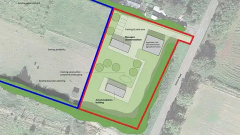 Project Dignity Site design