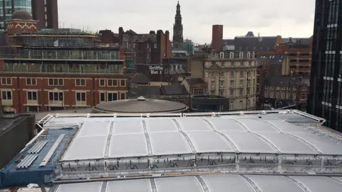 Network Rail View of the roof
