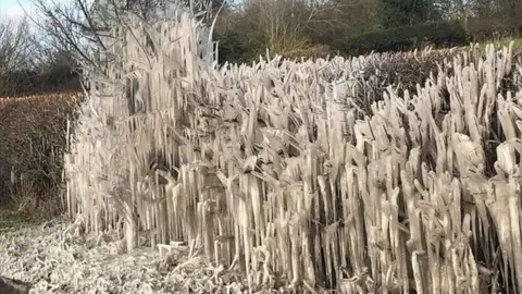 Alison Best Ice formations near Llong on the way to Mold on a roadside