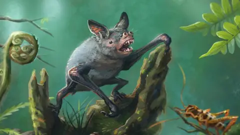 Illustration by Gavin Mouldey Artist's impression of another kind of extinct New Zealand burrowing bat, Mystacina robusta, that went extinct in the 1960s.