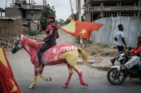 Yasuyoshi Chiba / AFP A man rides on a horse painted in the colour of the Tigray flag in Mekelle, Ethiopia