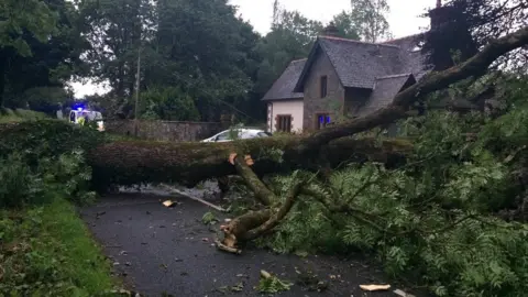 Police Scotland Fallen tree near the Haugh of Urr