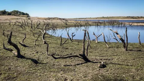 Getty Images Low water levels at Bodmin Moor in Cornwall