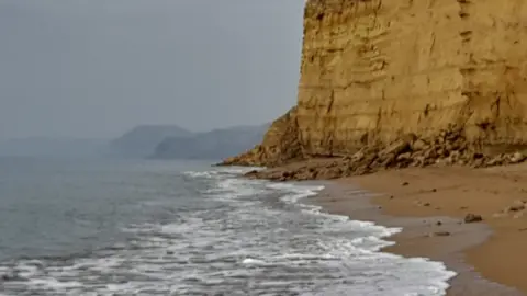 Dorset Council Rock fall at Hive Beach