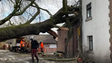 Workers tackle fallen tree