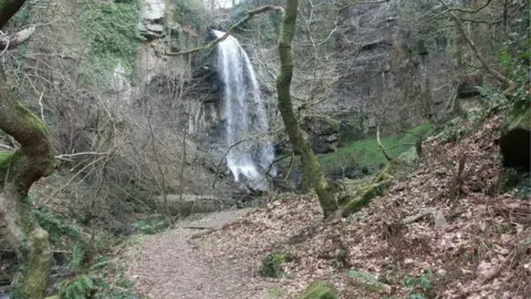 Dysdera/ Geograph Melincourt Falls