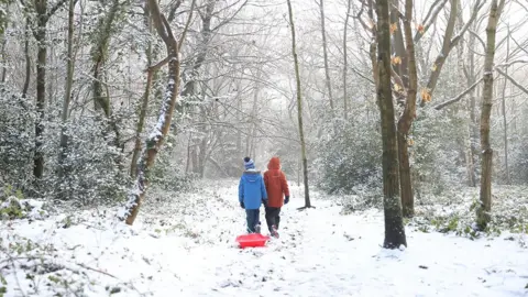 Martin Rickett / PA Media Two children drag a sledge through woods on Knutsford Heath in Cheshire
