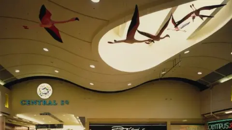 The Mall  Flamingos in the sky of a Luton shopping centre