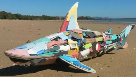 Ocean Rubbish Marine pollution shark