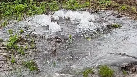 Hazel Harwin Water spewing out of manhole cover