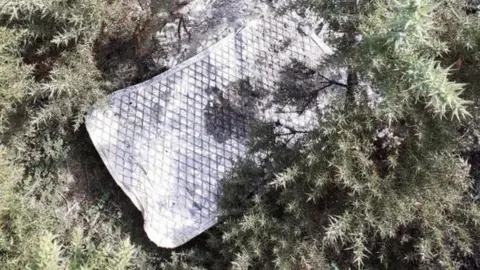 IOM Government Discarded barbecue among gorse