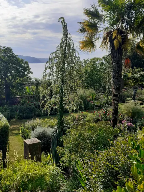 National Trust/ Chris Groves Giant flower