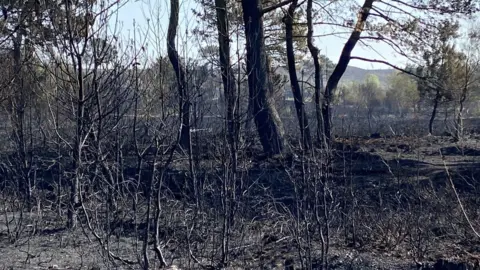 Roger Waller Canford heath blaze aftermath