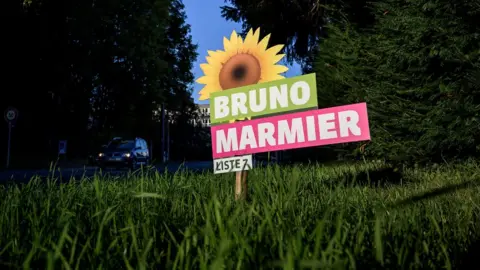 Getty Images A green candidate's poster in Switzerland