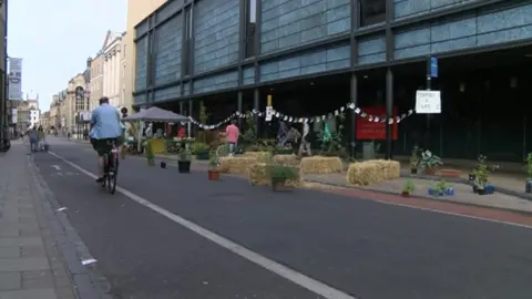 Makeshift garden on traffic-free street in Cambridge