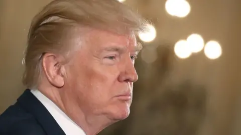 Getty Images Donald Trump at the White House.