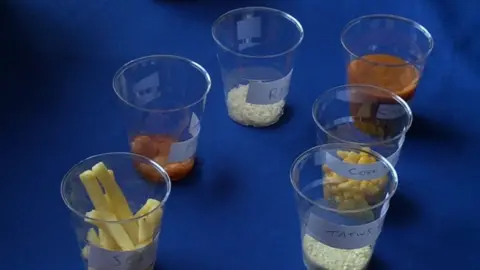 Containers showing how much protein Mark can eat in a day