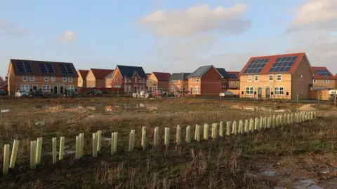 Hugh Venables/Geograph Trees being planted at Northstowe