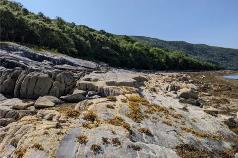 Andy Robinson Shore view