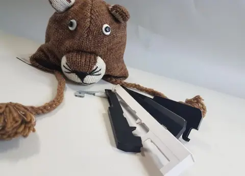 Items form the collection