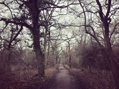 Esther Johnson Taken on a cold and windy run through Brasenose Woods