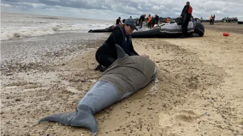 Jenny Kirk/BBC Whale rescue training exercise on Sizewell beach
