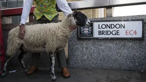 PA Sheep in front of the London Bridge sign