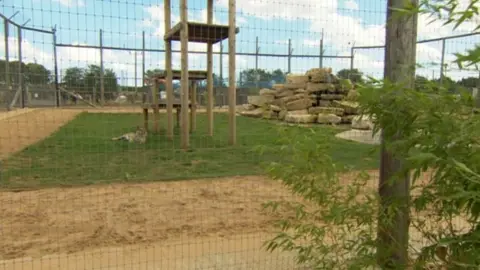 The animal enclosure