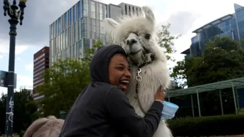 A person hugs a llama