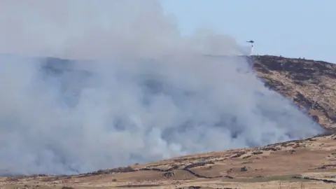 Solway Press Services Forest fire