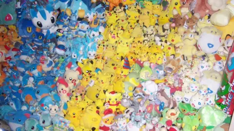 Lisa Courtney Lisa Courtney's Pokémon collection