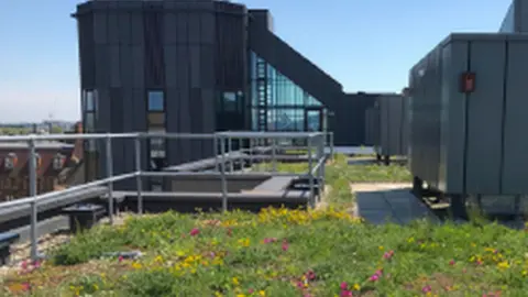 NRW/Swansea Council/GIC A city building's roof covered in greenery