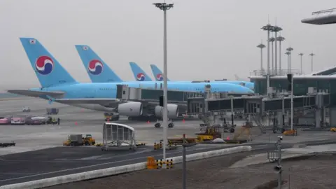 AFP/Getty Korean Air planes on the tarmac at the airport