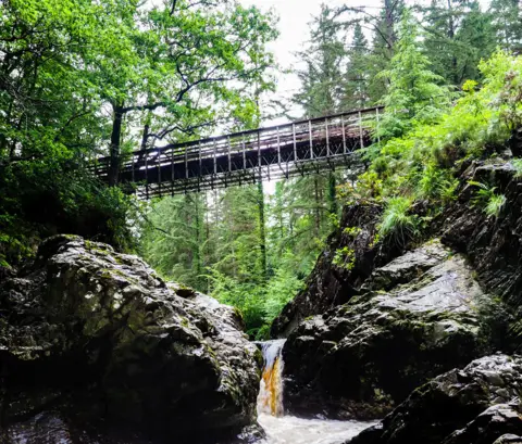 Ashley Charlwood/Getty Images River and forest bridge near Dolgellau, Gwynedd