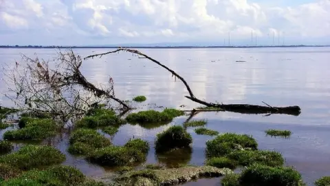 Lynne Kirton The Solway Firth