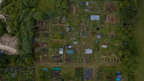 Combe Down Allotment Drone shot of the allotments