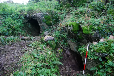 PA limestone cave entrance County Limerick