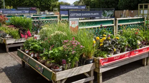 Getty Images Plants outside on sale at a garden centre 
