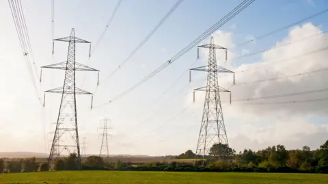 Electricity pylons in a grass field under a blue sky with a few clouds. There are a few trees at the base of the pylons