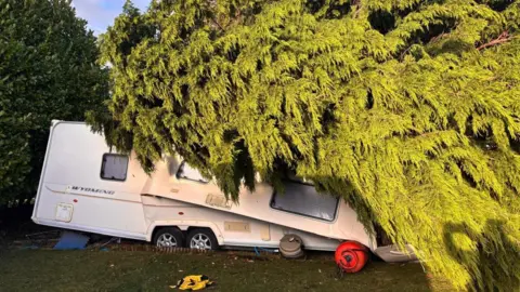 A caravan has been crushed by a large toppled tree, with the front end collapsed. The front of the caravan appears to be on top of an overturned gas bottle.