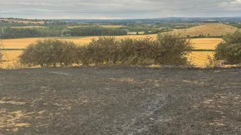 View of a rural landscape. In the foreground there is blackened, scorched ground and a hedgerow which looks out over harvested fields, green rolling hills and patches of woodland under a cloudy grey sky.