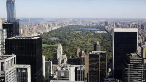 AP An aerial view of Central Park, with skyscrapers in the foreground and background.