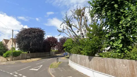 The entrance to Beech Grove, with Give Way markings on the road. Trees and large bushes are visible above wooden fences on both sides of the road.